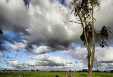 街上空无一人！ 18岁恩德里克伯纳乌首秀6万人见证