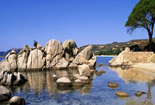 ATP官宣最新排名：辛纳成第29位球王，阿卡携大满贯反超德约科维奇